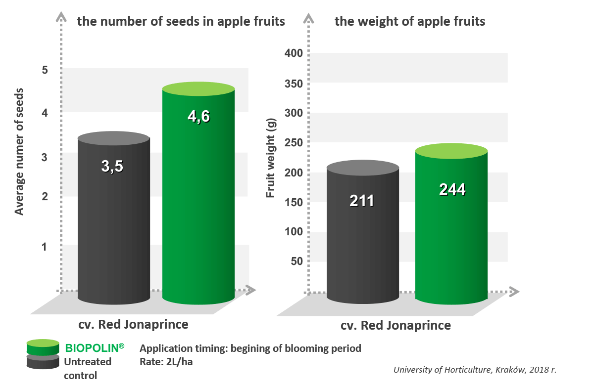The effect of Biopolin treatment on the number of seeds in apple fruits and the weight of apple fruits - chart